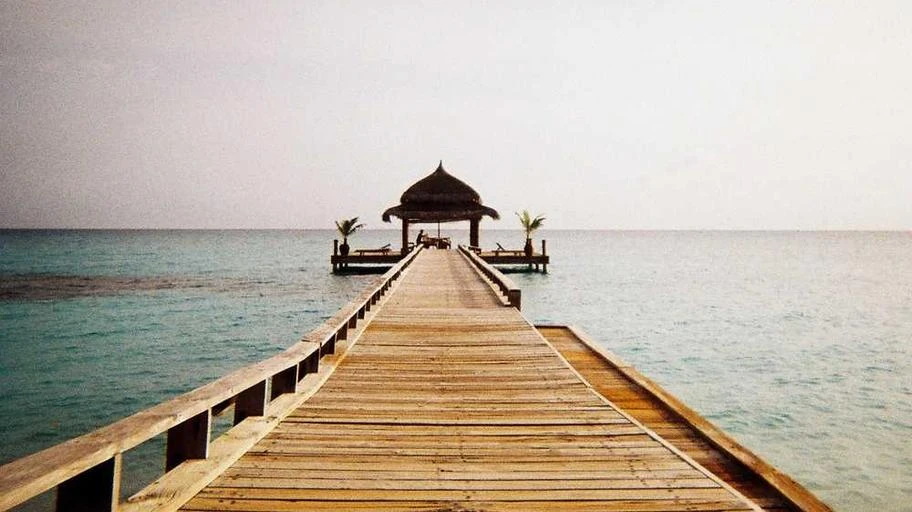 Chương trình cộng đồng và AI từ DUT