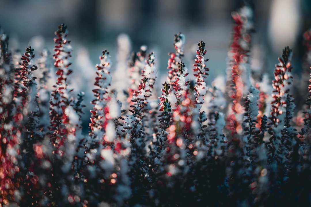 he-so-chuyen-doi-50-duoi-goc-nhin-cua-mot-chuyen-gia-cntt